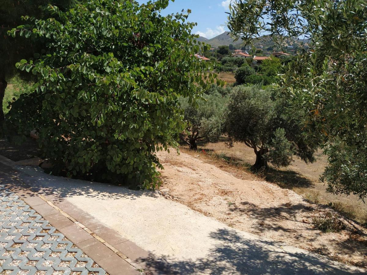 Villa Vena Παλαιά Φώκαια Εξωτερικό φωτογραφία