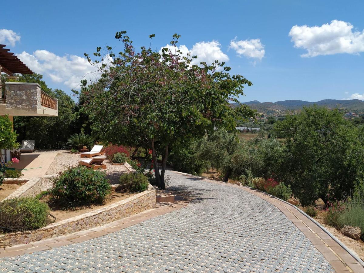 Villa Vena Παλαιά Φώκαια Εξωτερικό φωτογραφία