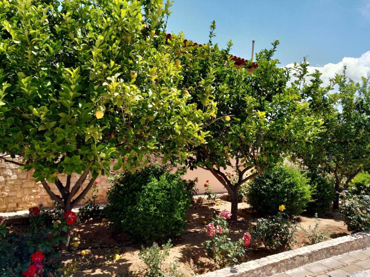 Villa Vena Παλαιά Φώκαια Εξωτερικό φωτογραφία